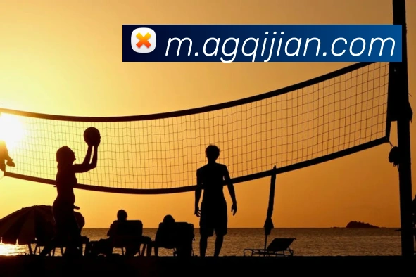 多媒体互动体验